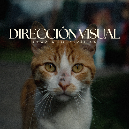 Dirección Visual 1:1 | Análisis Fotográfico en Llamada