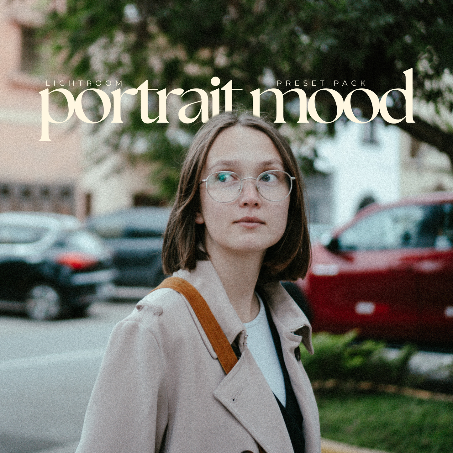 Portrait Mood | Lightroom Presets