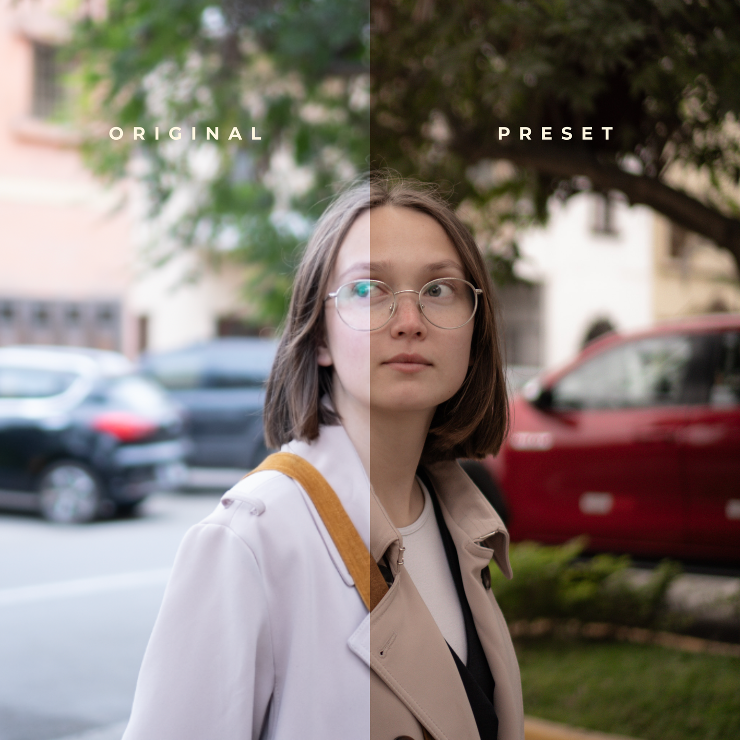 Portrait Mood | Lightroom Presets