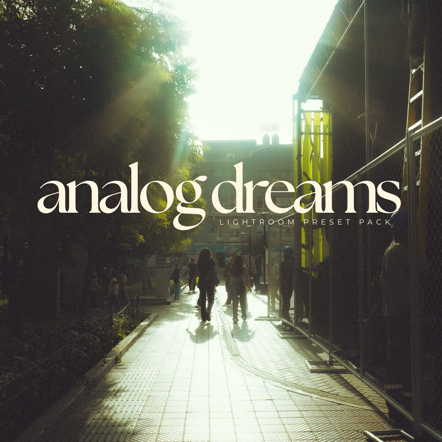 Analog Dreams | Lightroom Presets