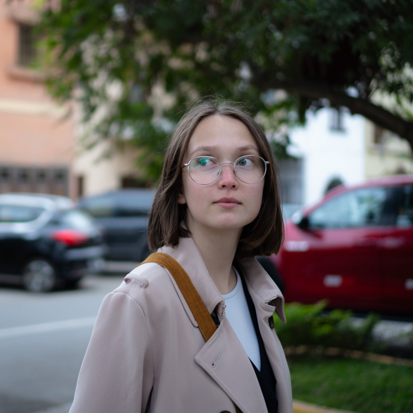 Portrait Mood | Lightroom Presets