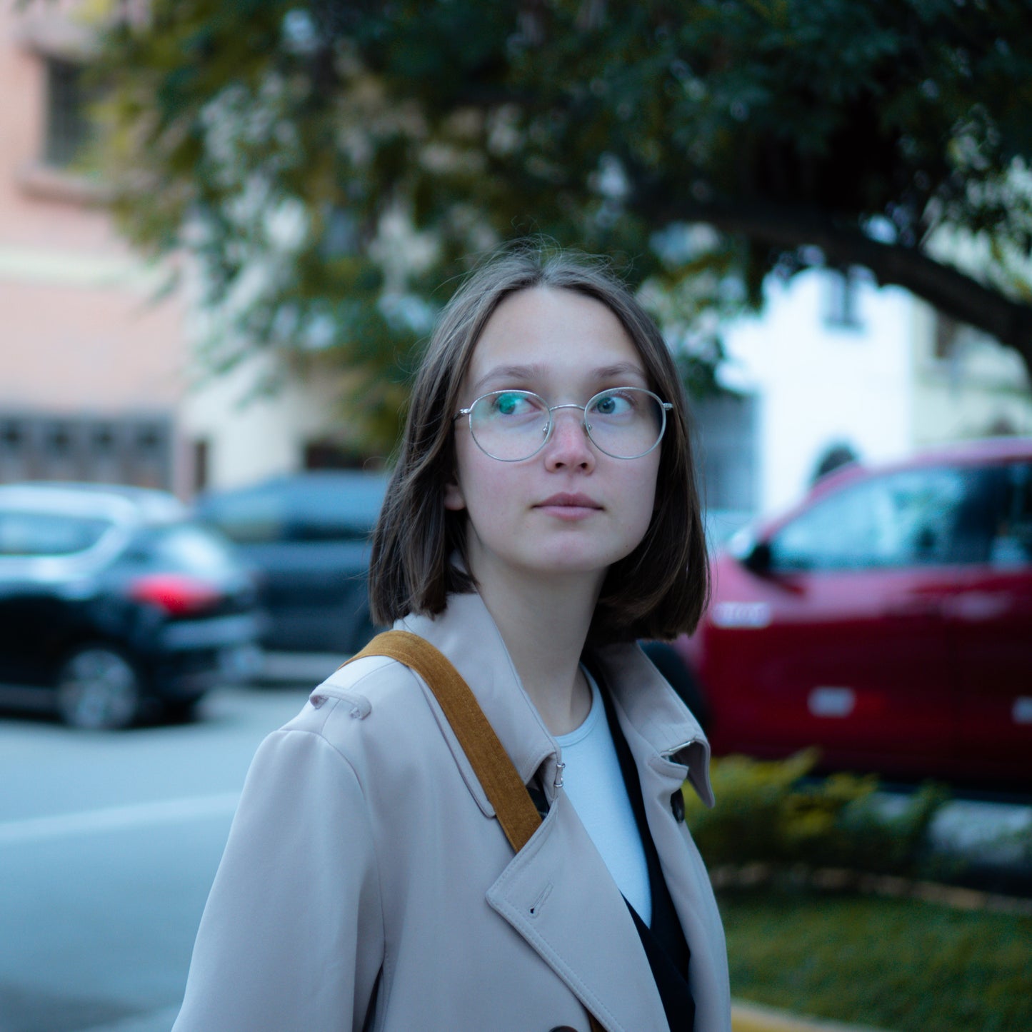 Portrait Mood | Lightroom Presets