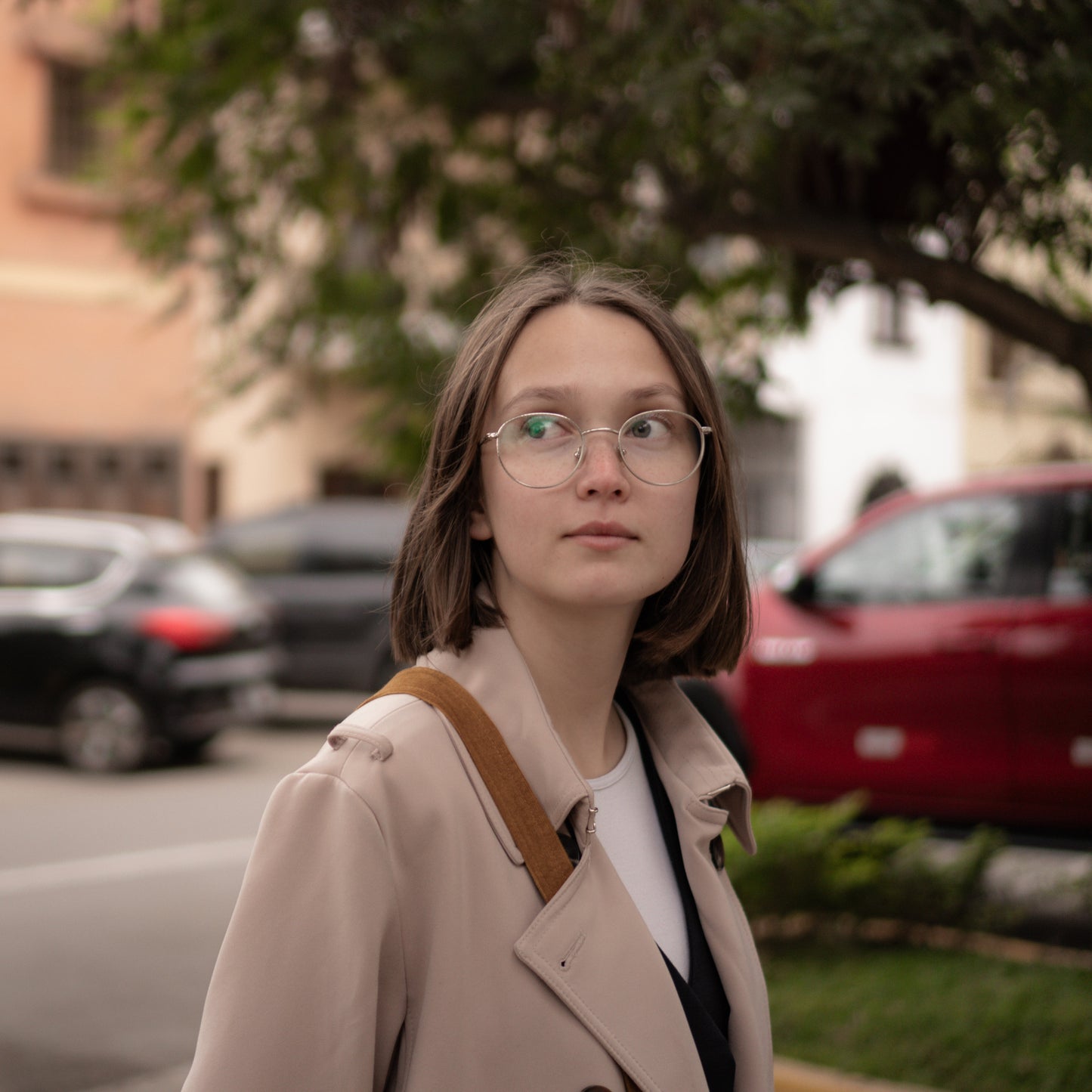 Portrait Mood | Lightroom Presets