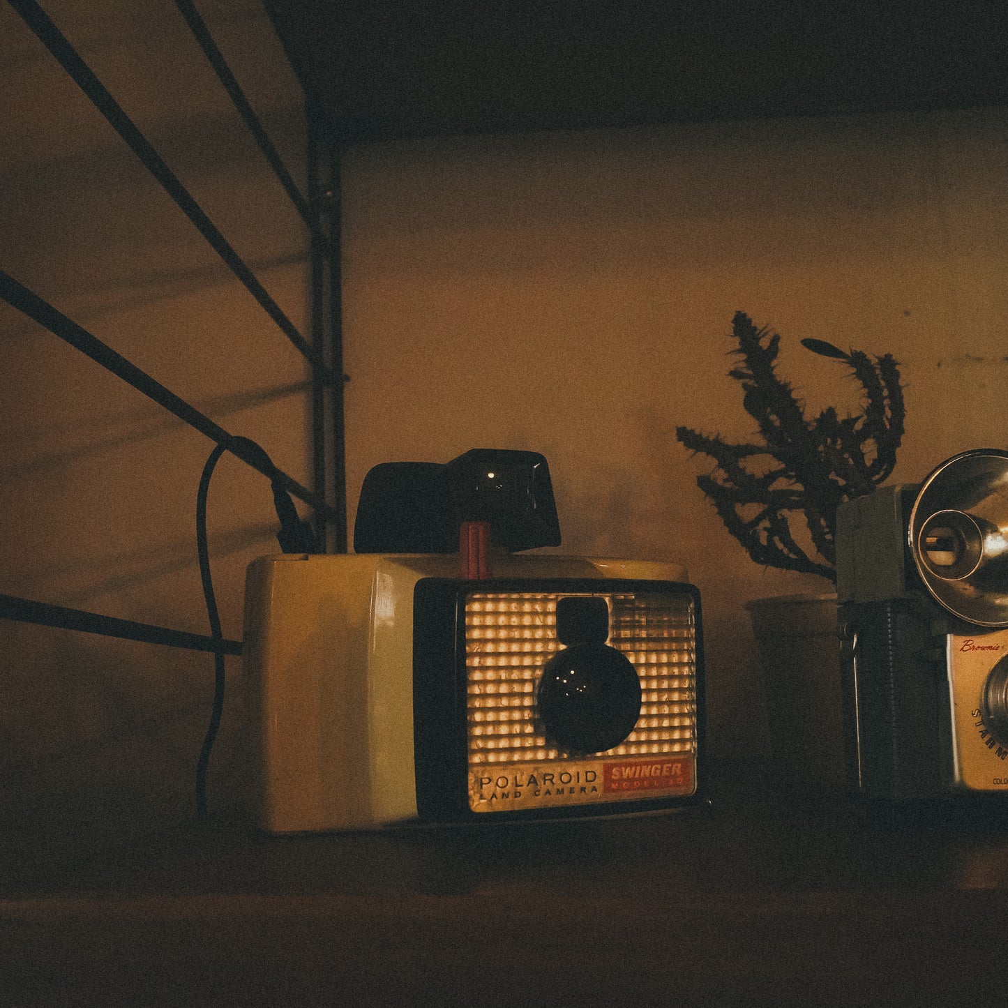 Analog Dreams | Lightroom Presets
