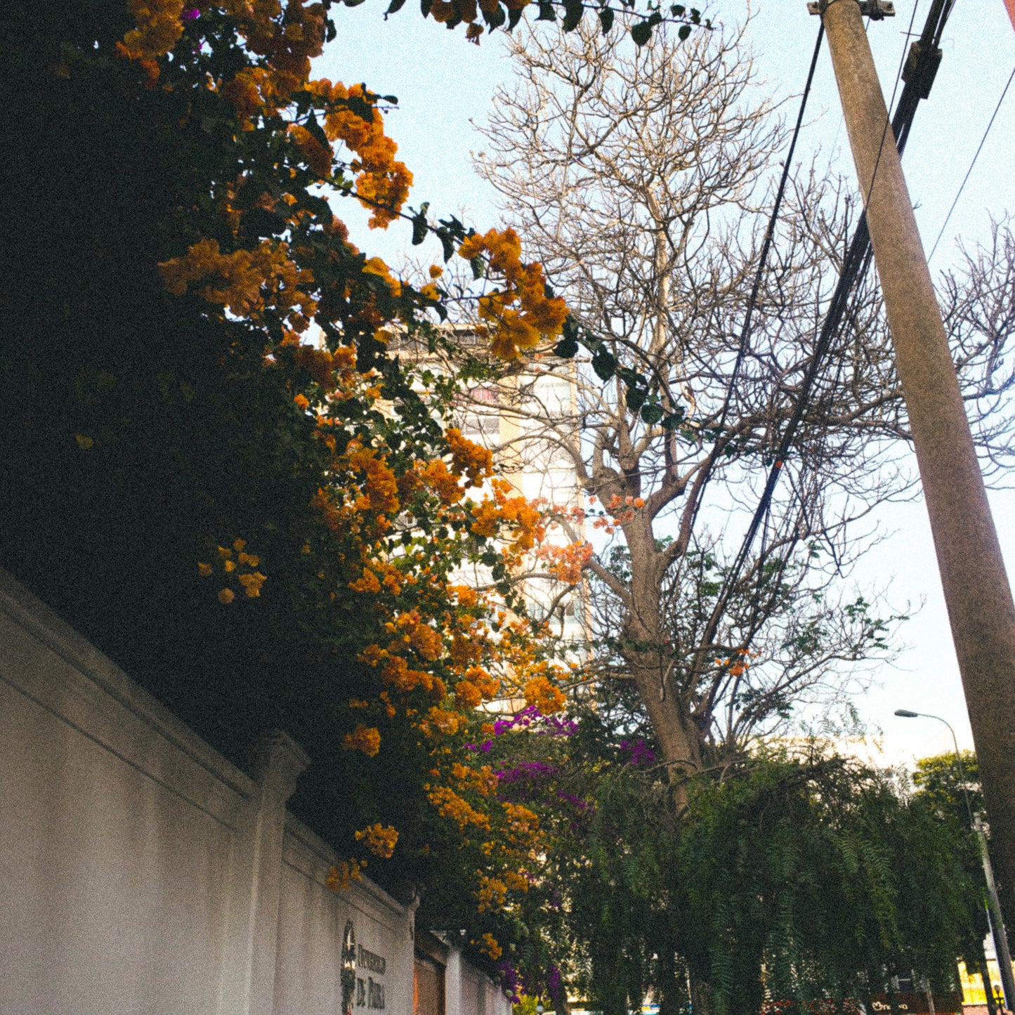 The Complete Collection | Lightroom Presets