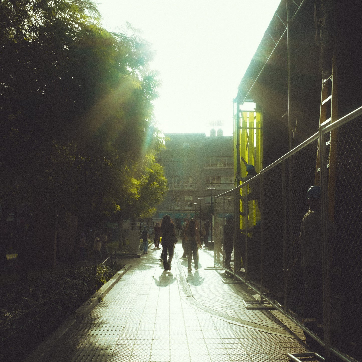 Analog Dreams | Lightroom Presets